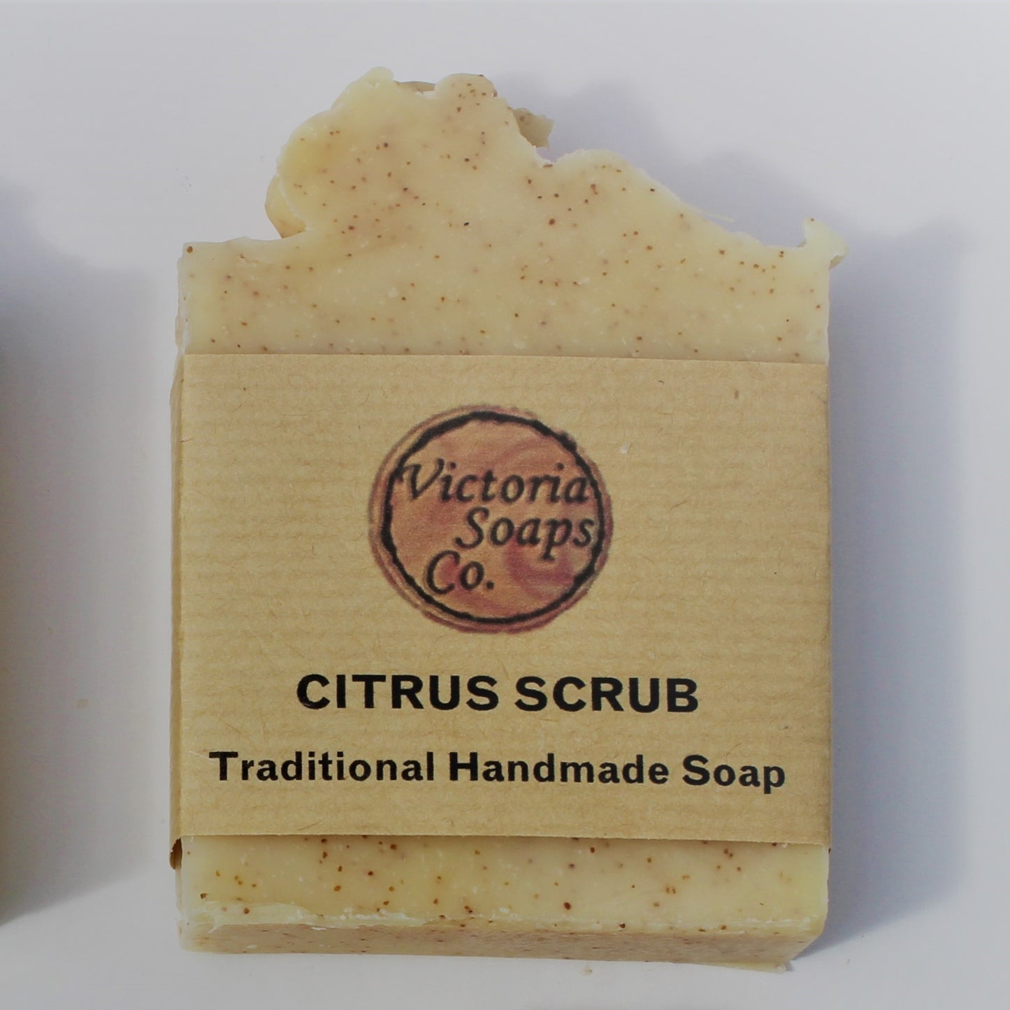 Citrus Walnut Scrub Soap Bar
